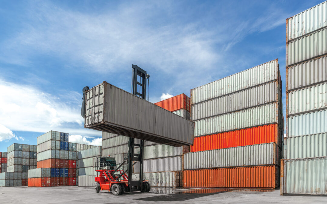 The Role of Our Domestic Container Storage Solution in an Auto Manufacturer and Importer’s Success